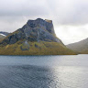 Meet your Posher, Brandon